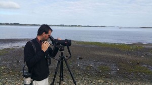 Gabriel Martín García  Projects Manager (and passionate birdwatcher!)  SEO/BirdLife